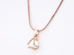 Chain Pendant